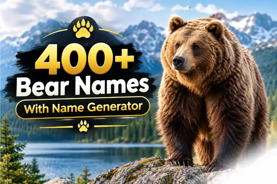 bear names with names generator